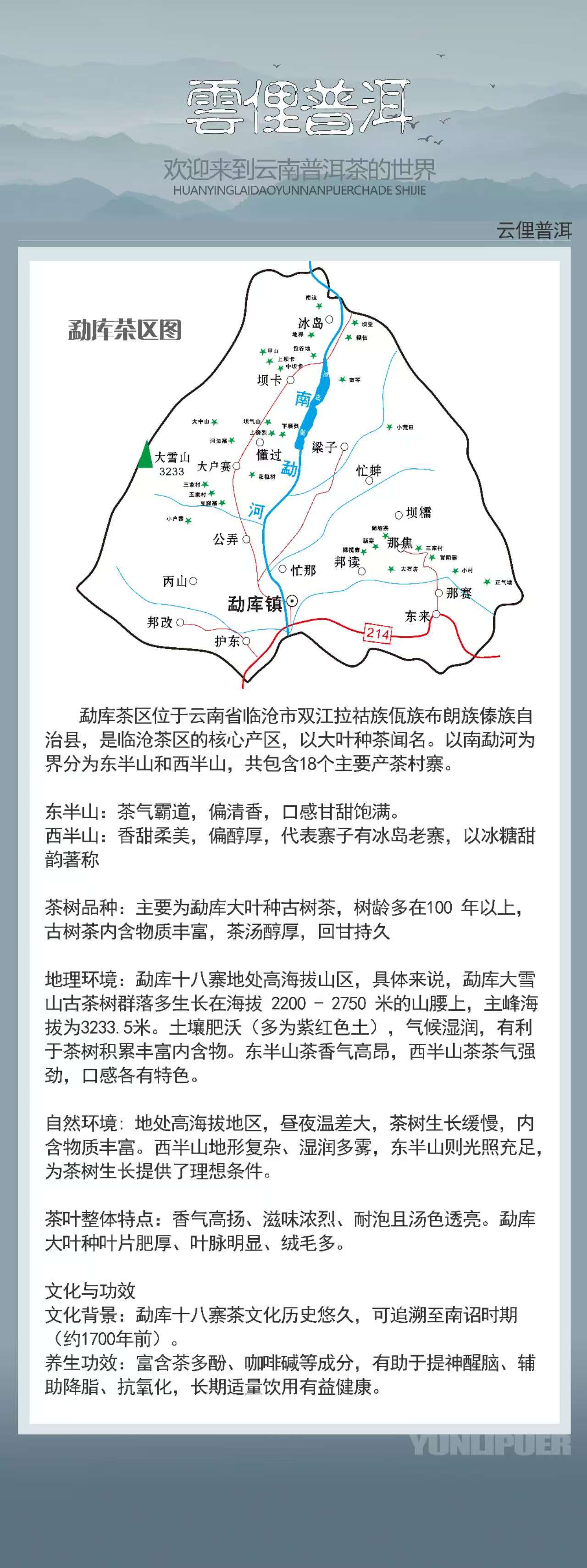 勐库茶区图和云南普洱茶介绍